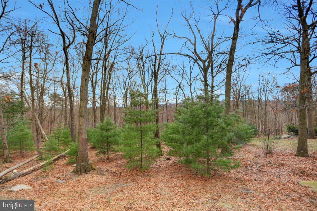110 Woodview Road Biglerville, PA 17307 - Photo 46 of 55 Gallery Image 46