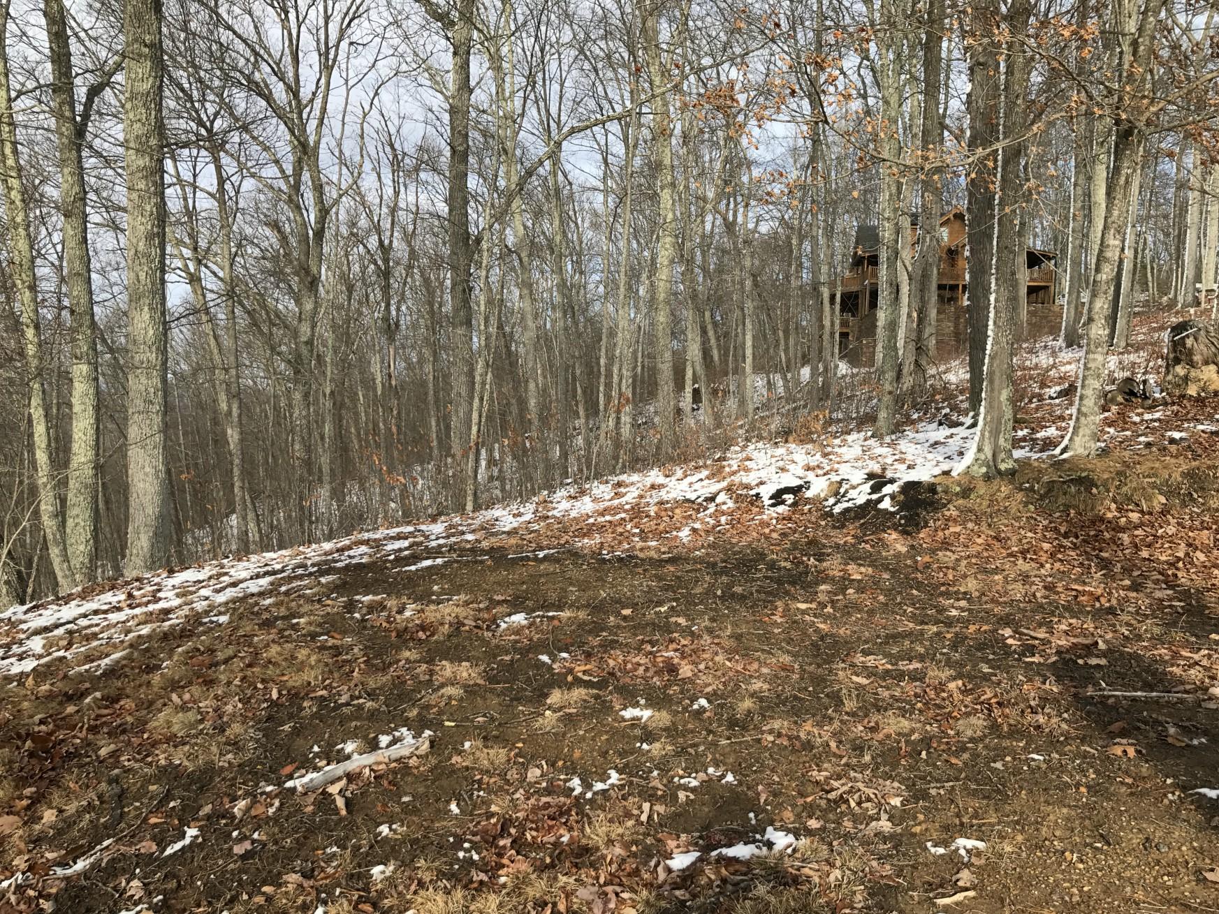 Lot 12 Wildwood Ridge Lindside, WV 24951 - Photo 9 of 24 Gallery Image 9