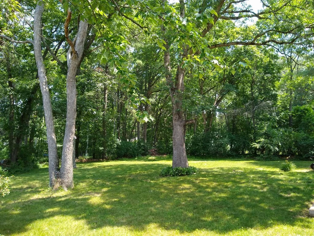 22 Spring Street Sudbury, MA 01776 - Photo 19 of 19 Gallery Image 19
