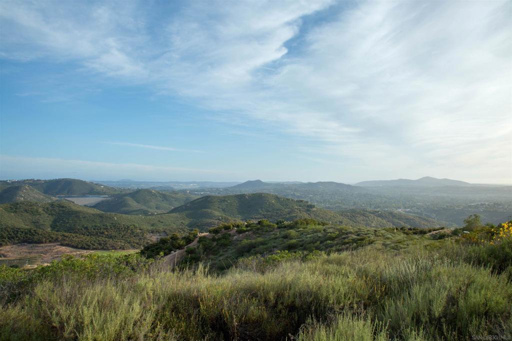 18035 Sunset Point Poway, CA 92064 - Photo 35 of 62 a view of a lush green forest with lots of trees