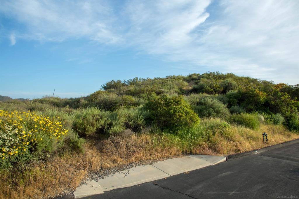 18035 Sunset Point Poway, CA 92064 - Photo 38 of 62 a view of a lake with a yard