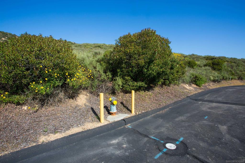 18035 Sunset Point Poway, CA 92064 - Photo 47 of 62 a view of a yard with a tree