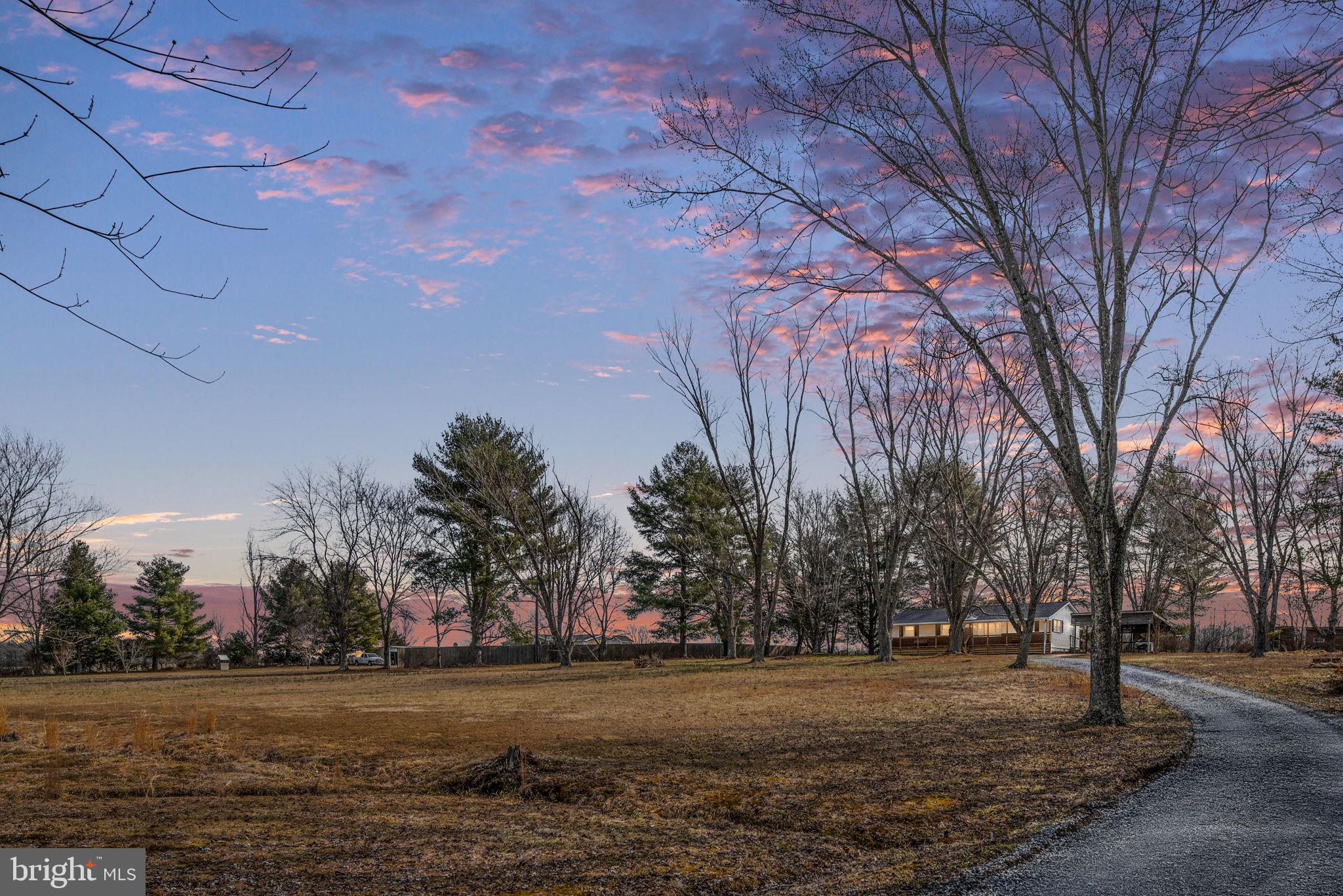8220 Marye Road Partlow, VA 22534 - Photo 8 of 67 a view of dirt yard and trees