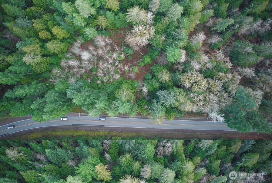 63-xx Northwest Anderson Hill Road Silverdale, WA 98383 - Photo 19 of 25 a view of a yard