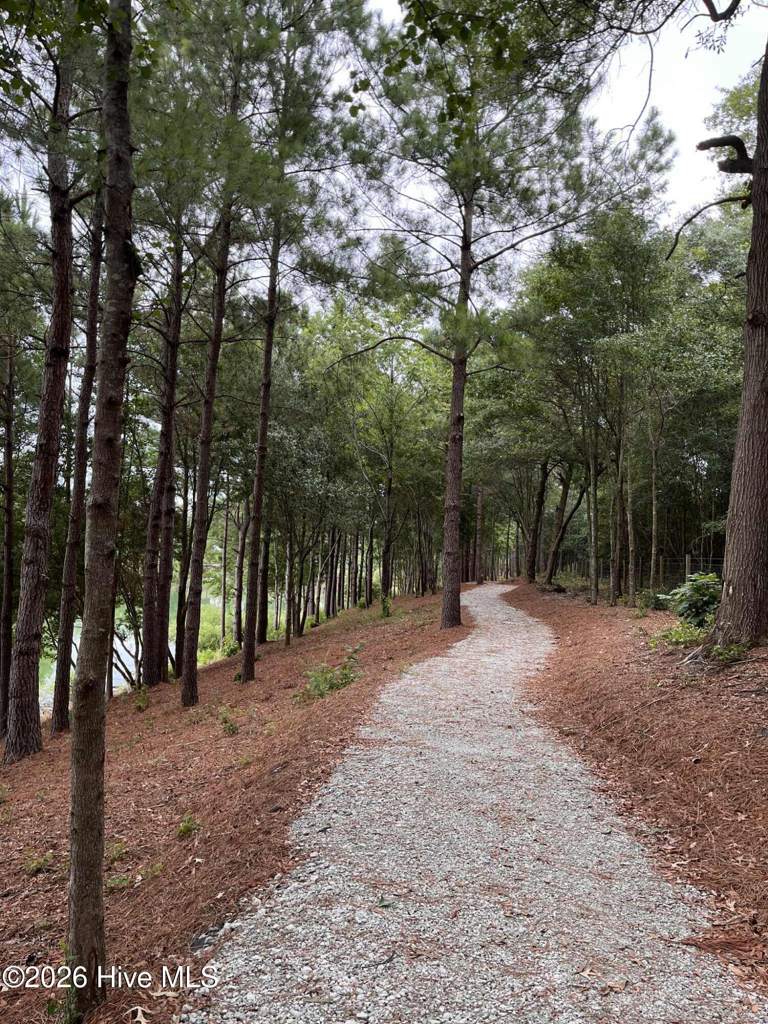 1121 Rockhill Road Castle Hayne, NC 28429 - Photo 44 of 50 Unknown-4