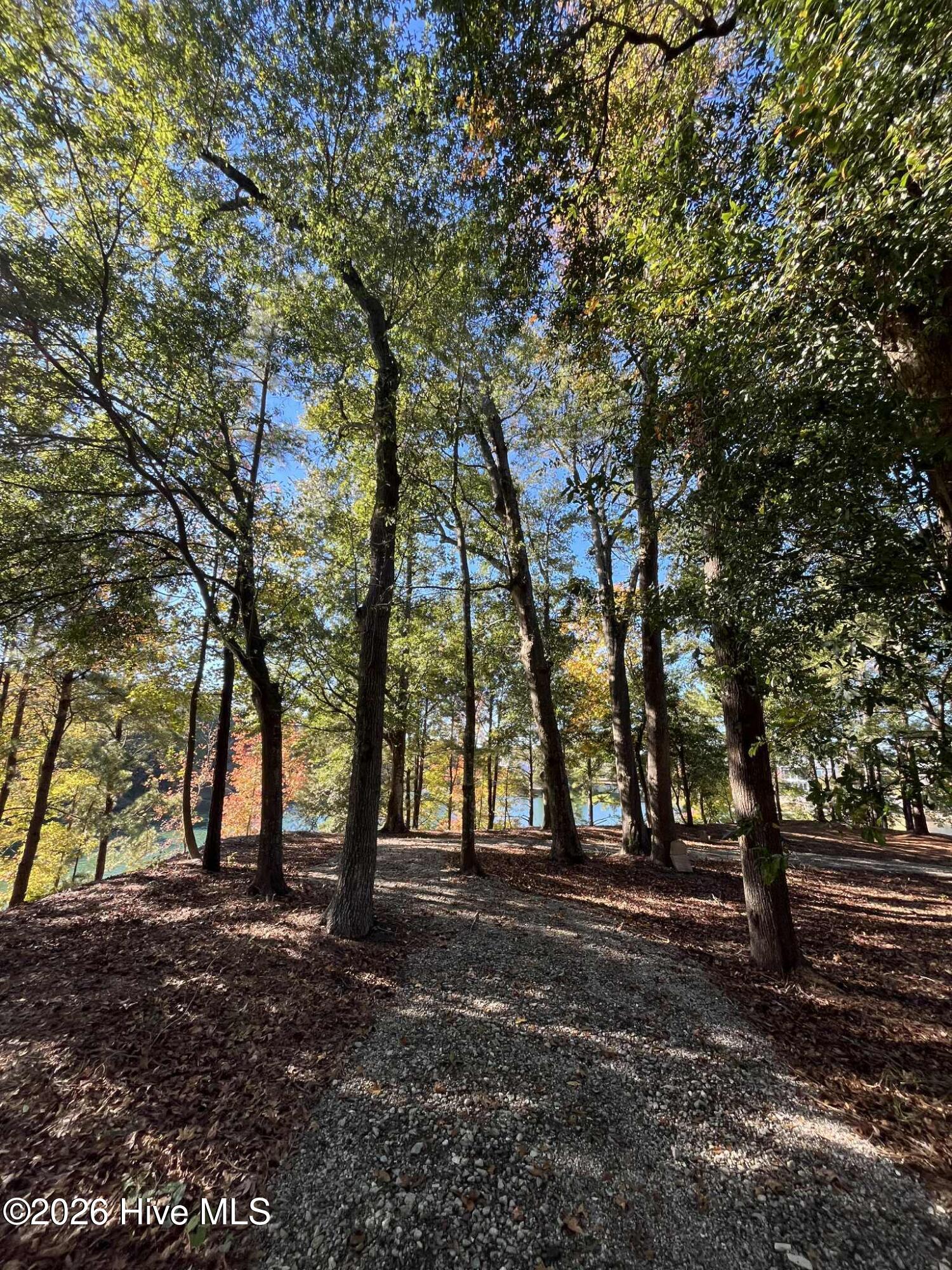 1121 Rockhill Road Castle Hayne, NC 28429 - Photo 46 of 50 Unknown-8