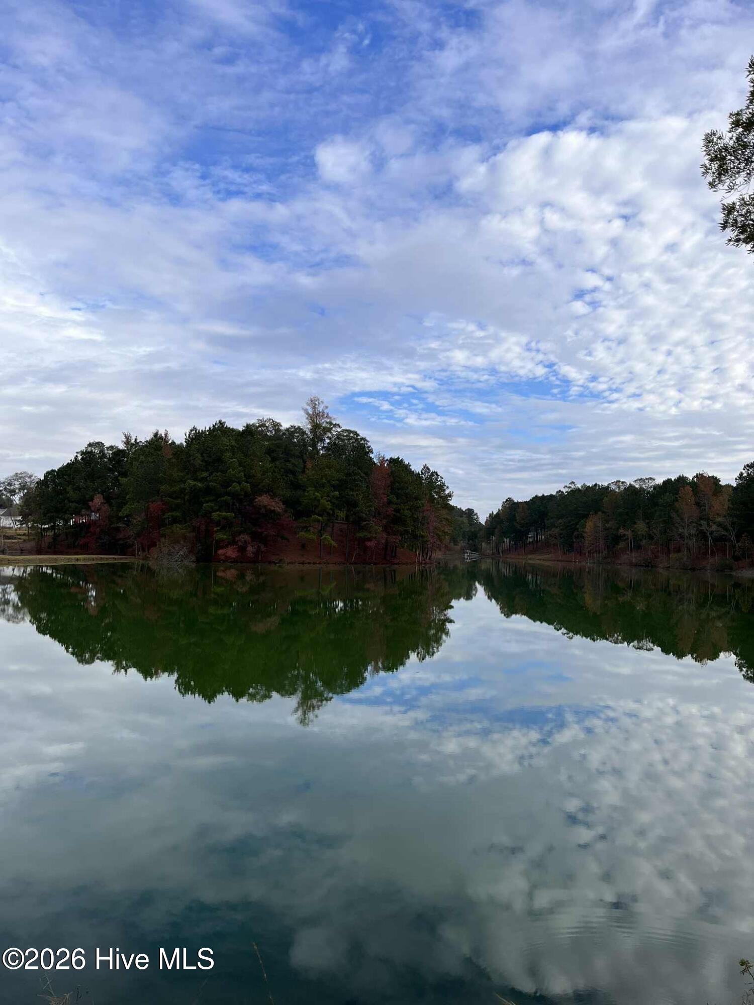 1121 Rockhill Road Castle Hayne, NC 28429 - Photo 49 of 50 Unknown-13