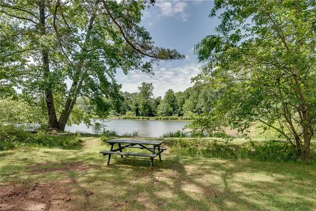 a view of a lake in a forest