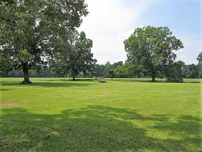 2407 4 Holes Road Orangeburg, SC 29115 - Photo 3 of 27 Pecan Trees for Holiday Baking