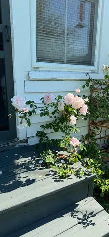 $389,000 | 672 Spruce Head Road, South Thomaston, ME 04858