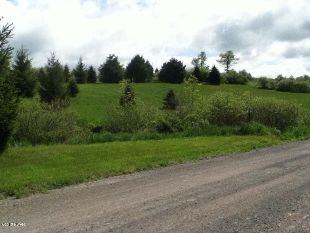 Griffith Road Tyler Hill, PA 18469 - Photo 2 of 15 OPEN AND WOODED