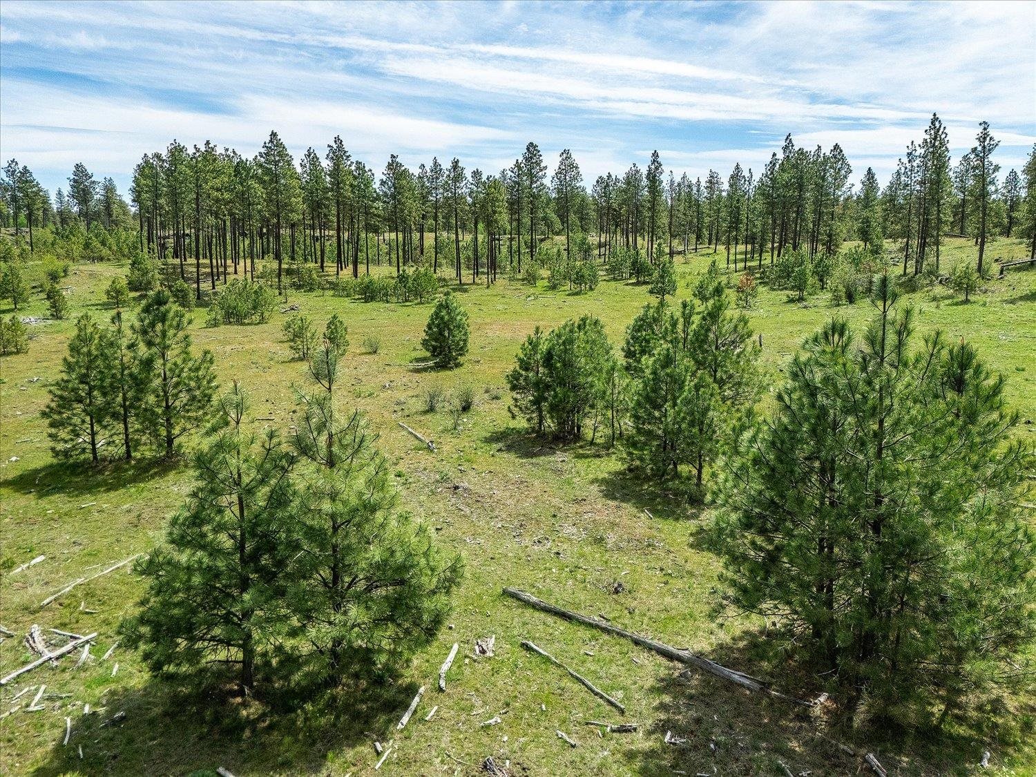 23755 South Ritchey Road Cheney, WA 99004 - Photo 17 of 34