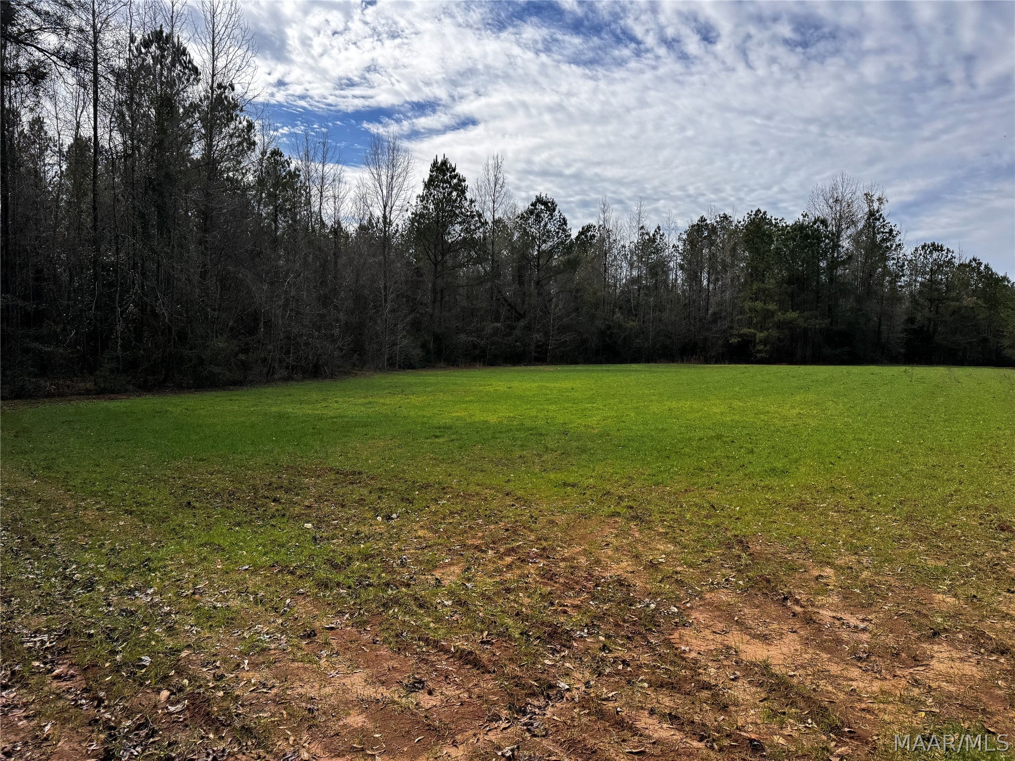 0 County Road Monroeville, AL 36460 - Photo 10 of 44 Gallery Image 10