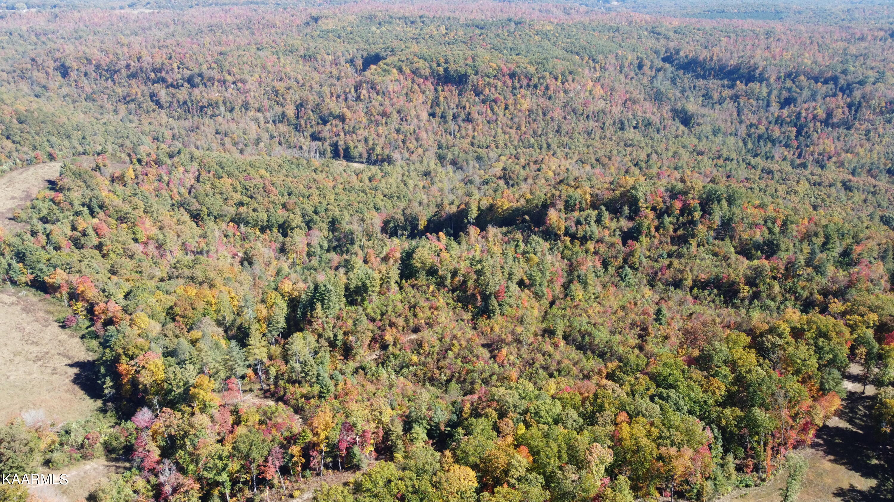 John Long Road Oneida, TN 37841 - Photo 18 of 23 DJI_0067