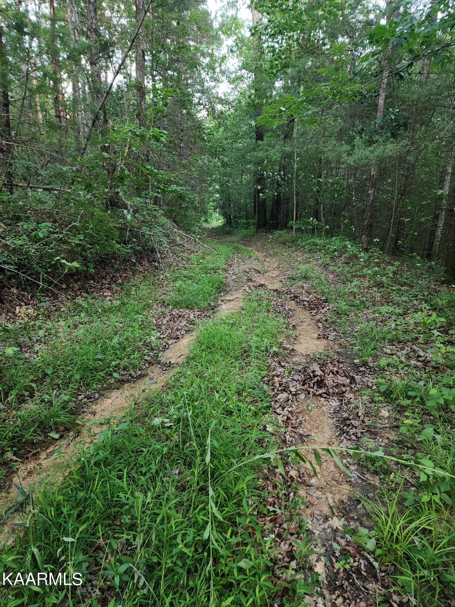 John Long Road Oneida, TN 37841 - Photo 23 of 23 20230612_181717