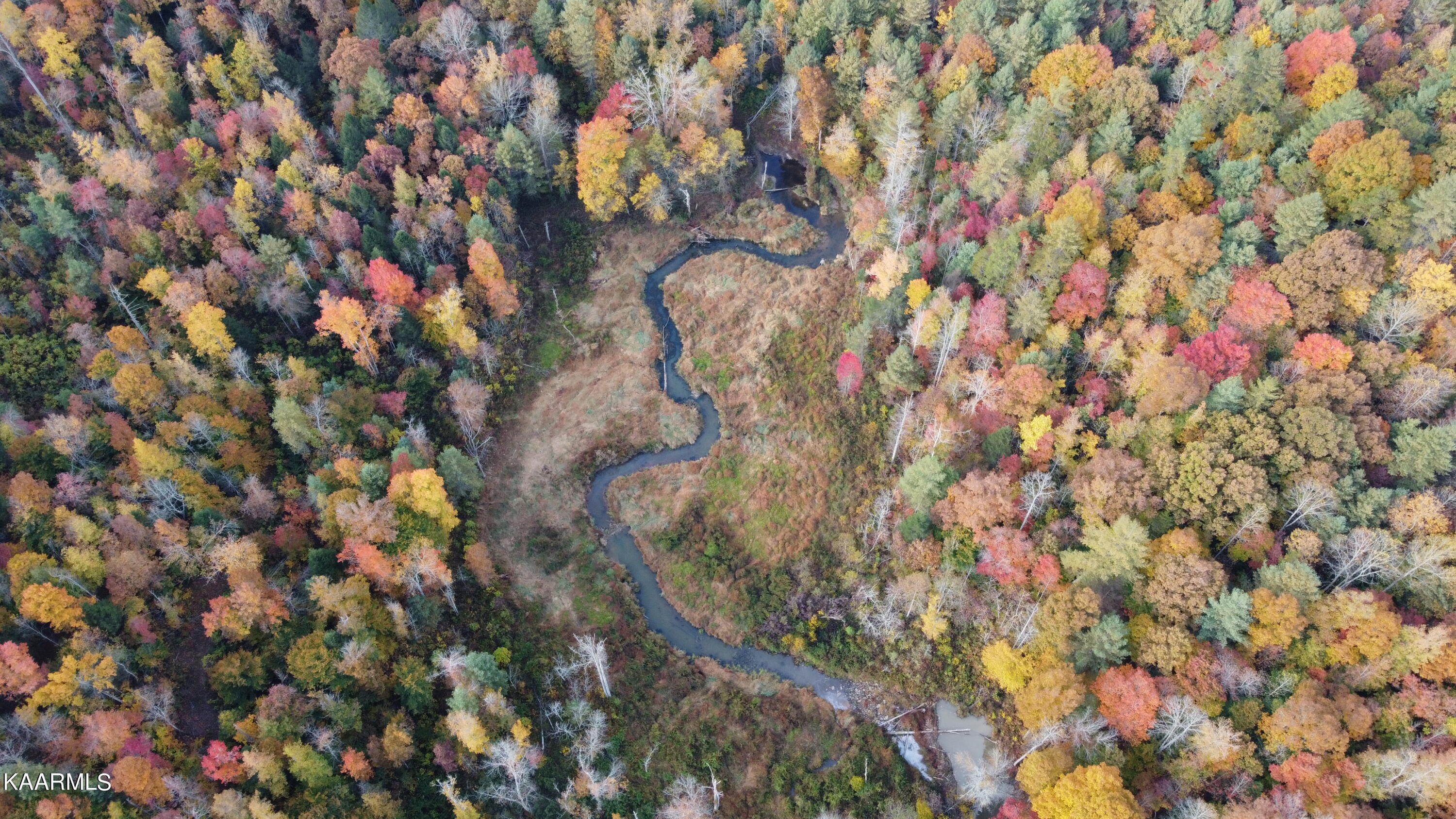 John Long Road Oneida, TN 37841 - Photo 5 of 23 DJI_0078