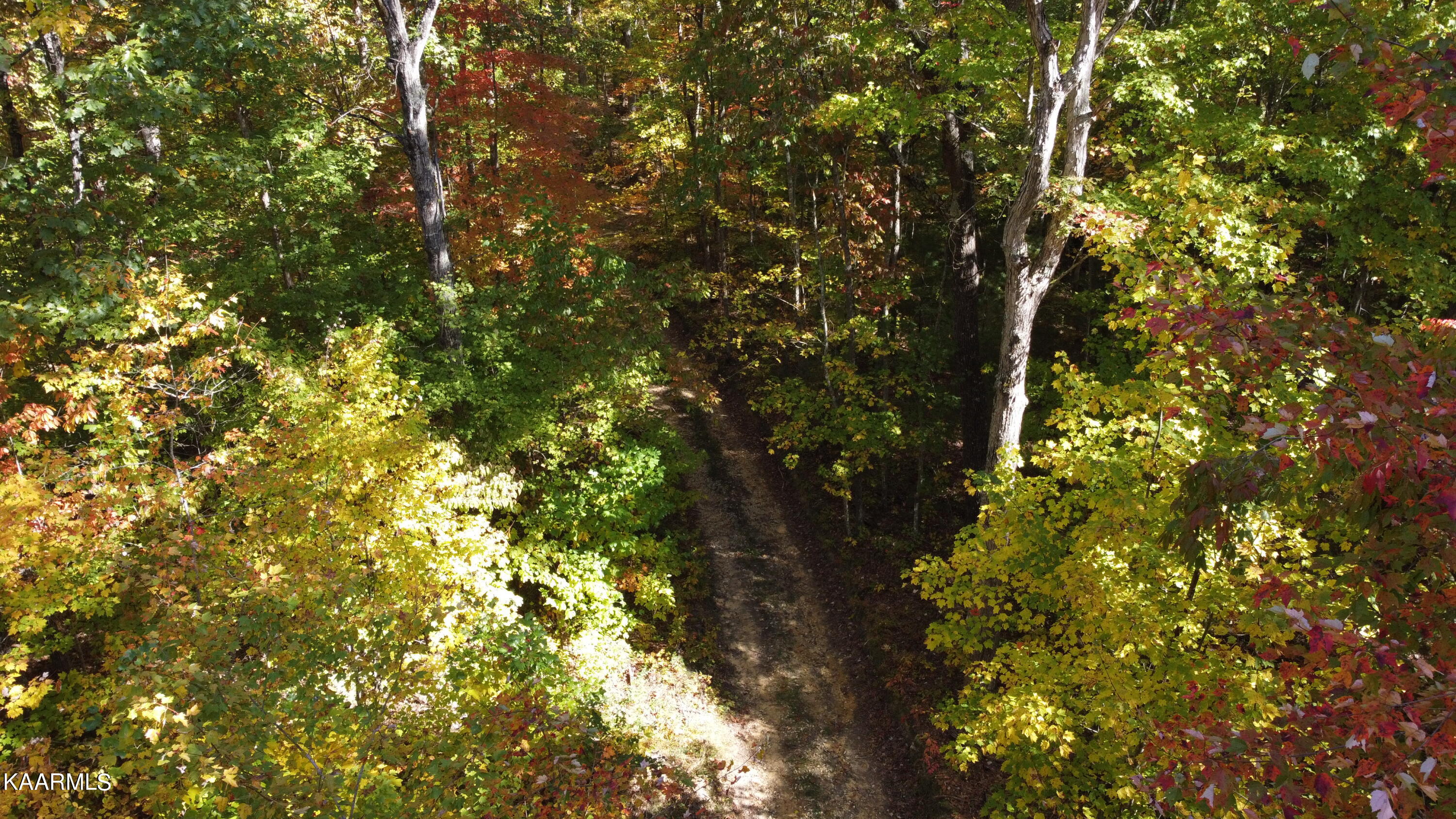 John Long Road Oneida, TN 37841 - Photo 8 of 23 DJI_0064