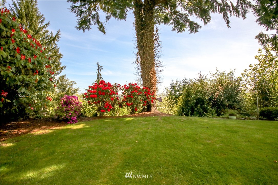 821 North Rice Street Aberdeen, WA 98520 - Photo 2 of 17 Gallery Image 2