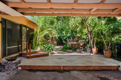 a view of a backyard with potted plants and large trees