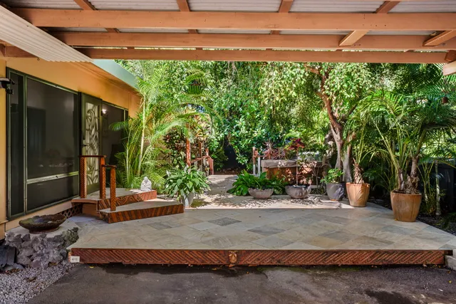 a view of a backyard with potted plants and large trees
