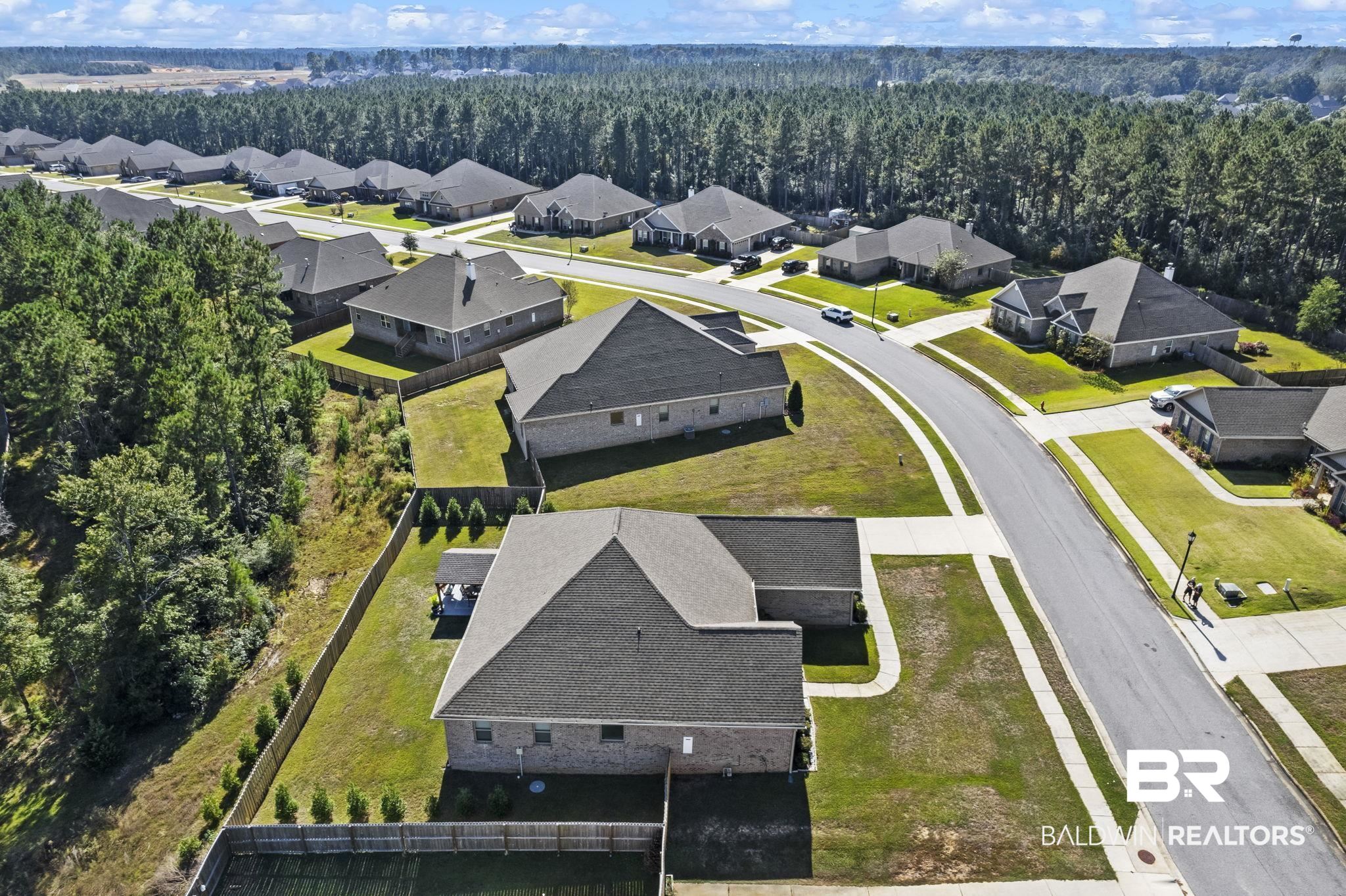 31500 Spoonbill Road Daphne, AL 36527 - Photo 69 of 85 Birds eye view of property