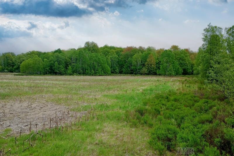 58-acres Northeast County Line Road Coleman, MI 48618 - Photo 34 of 45
