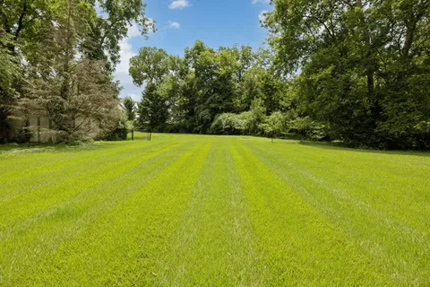 a view of a field with trees in the background