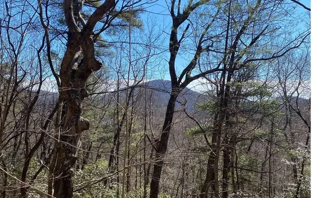 $199,000 | 212 Shelton Road, Suches, GA 30572