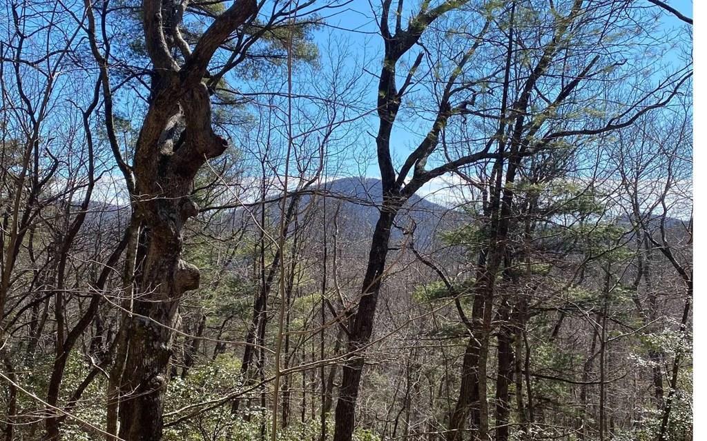 212 Shelton Road Suches, GA 30572 - Photo 17 of 23