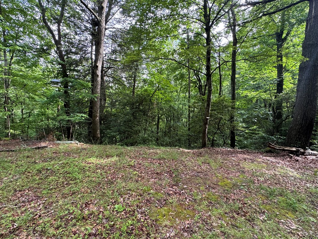 212 Shelton Road Suches, GA 30572 - Photo 18 of 23