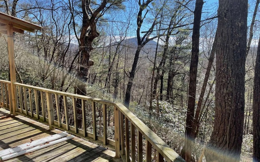 212 Shelton Road Suches, GA 30572 - Photo 2 of 23