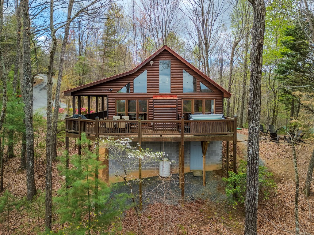 507 Bushy Head Road Cherry Log, GA 30522 - Photo 2 of 35 Gallery Image 2
