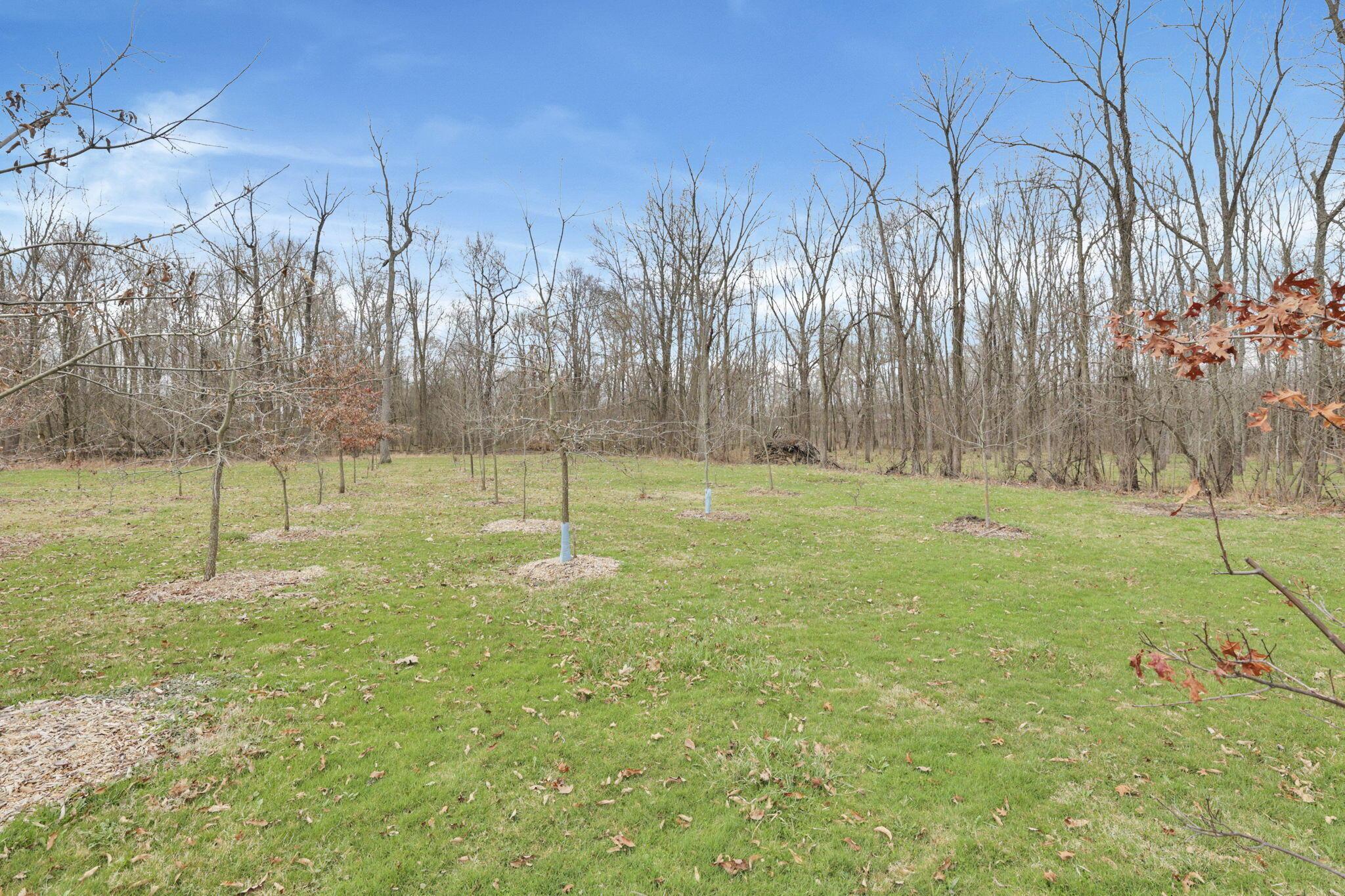 1133 Shearer Road Galion, OH 44833 - Photo 77 of 88 31