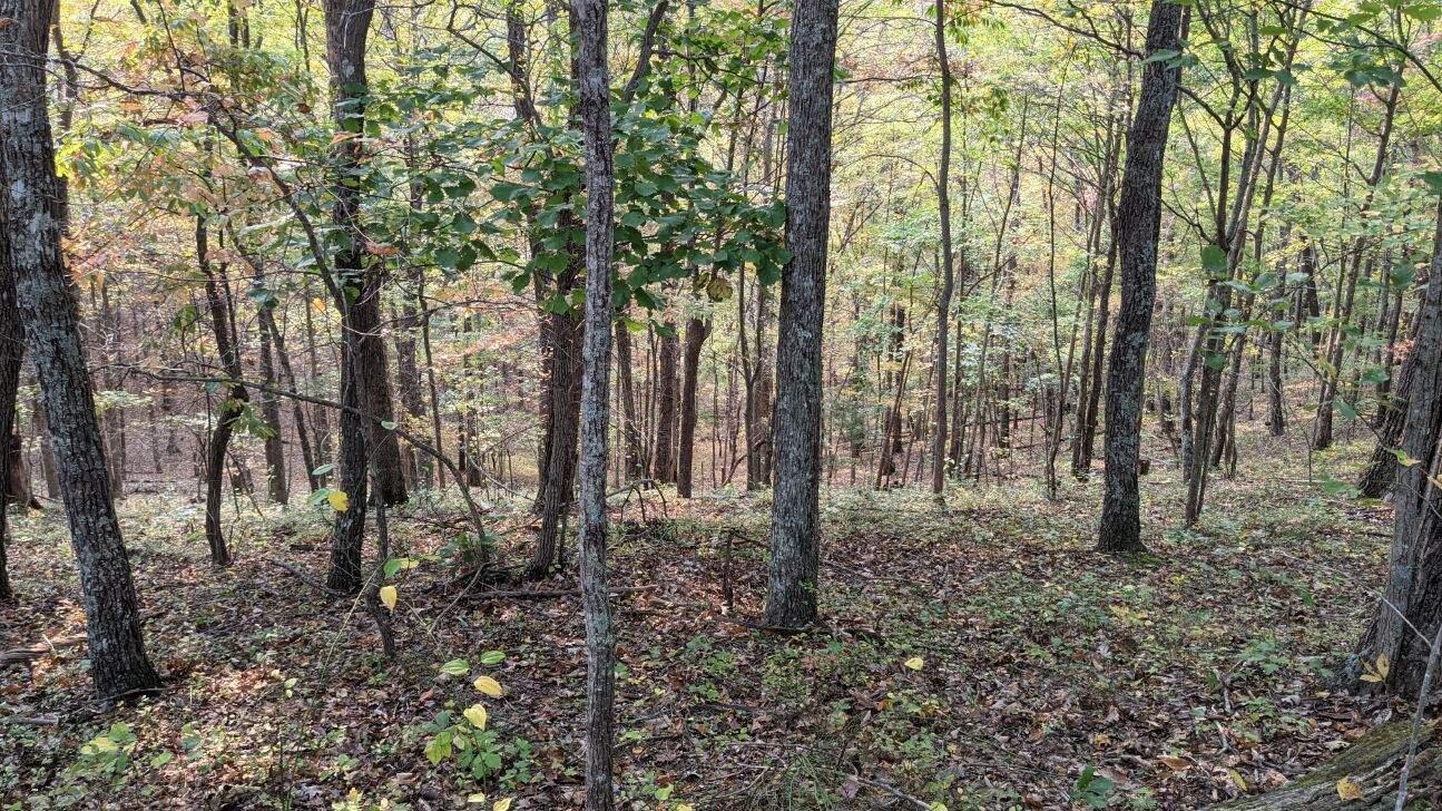 2128 Taylor School Road London, KY 40741 - Photo 12 of 26 9