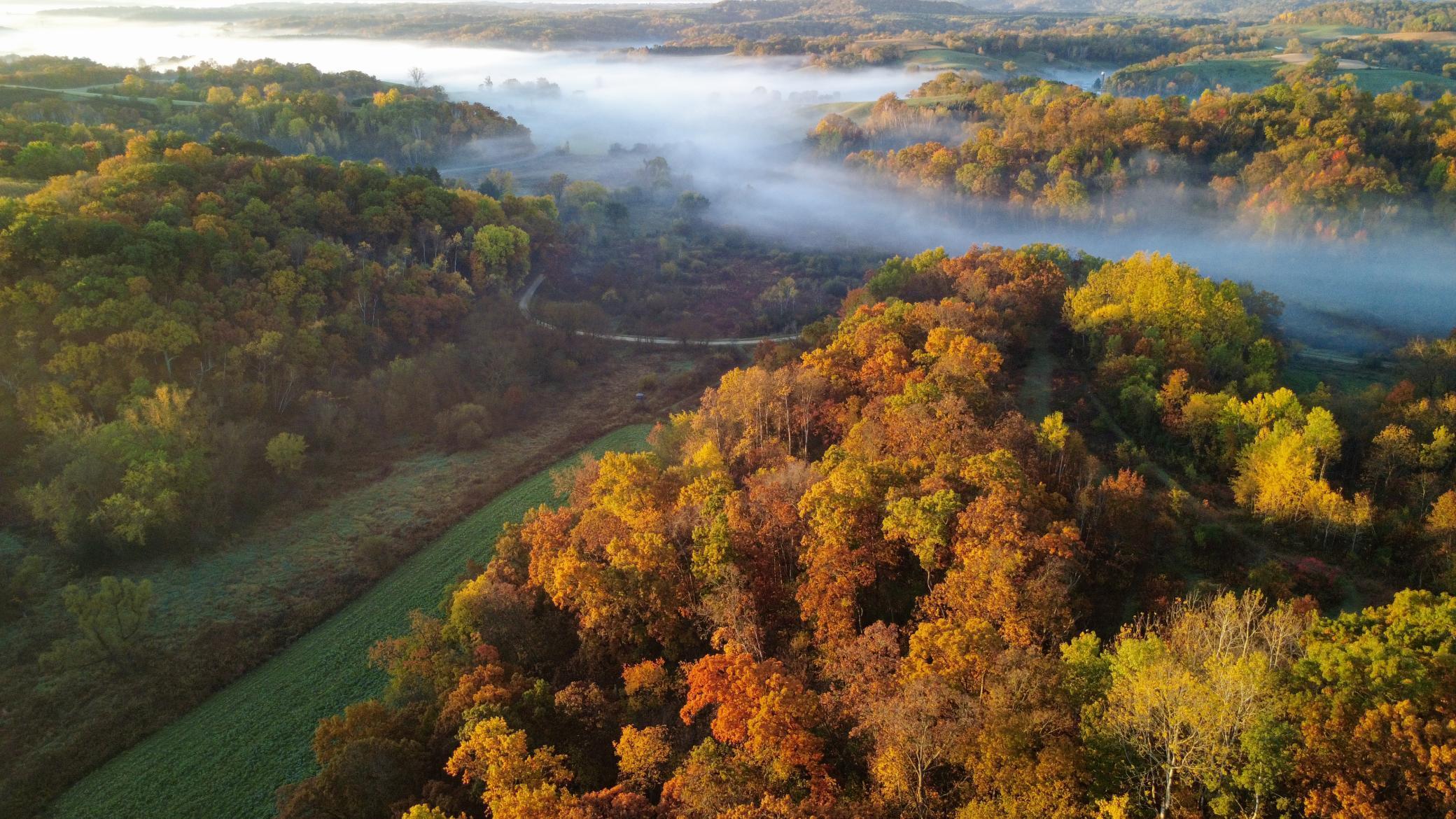 N35194 Przybilla Road Independence, WI 54747 - Photo 11 of 62