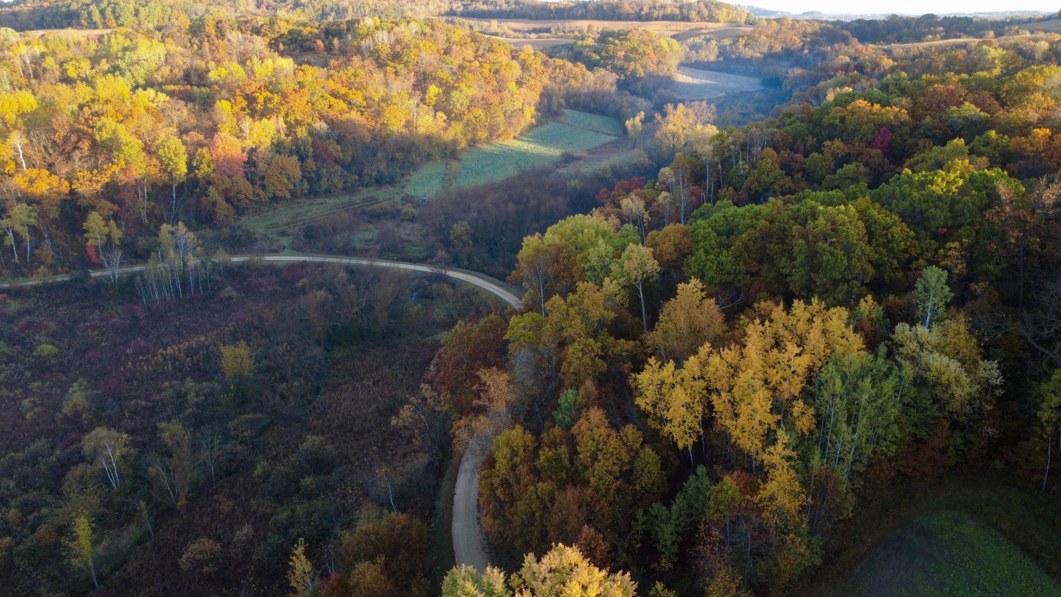 N35194 Przybilla Road Independence, WI 54747 - Photo 12 of 62