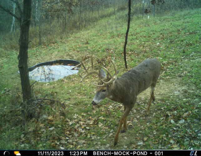 N35194 Przybilla Road Independence, WI 54747 - Photo 13 of 62