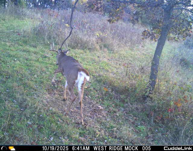 N35194 Przybilla Road Independence, WI 54747 - Photo 14 of 62