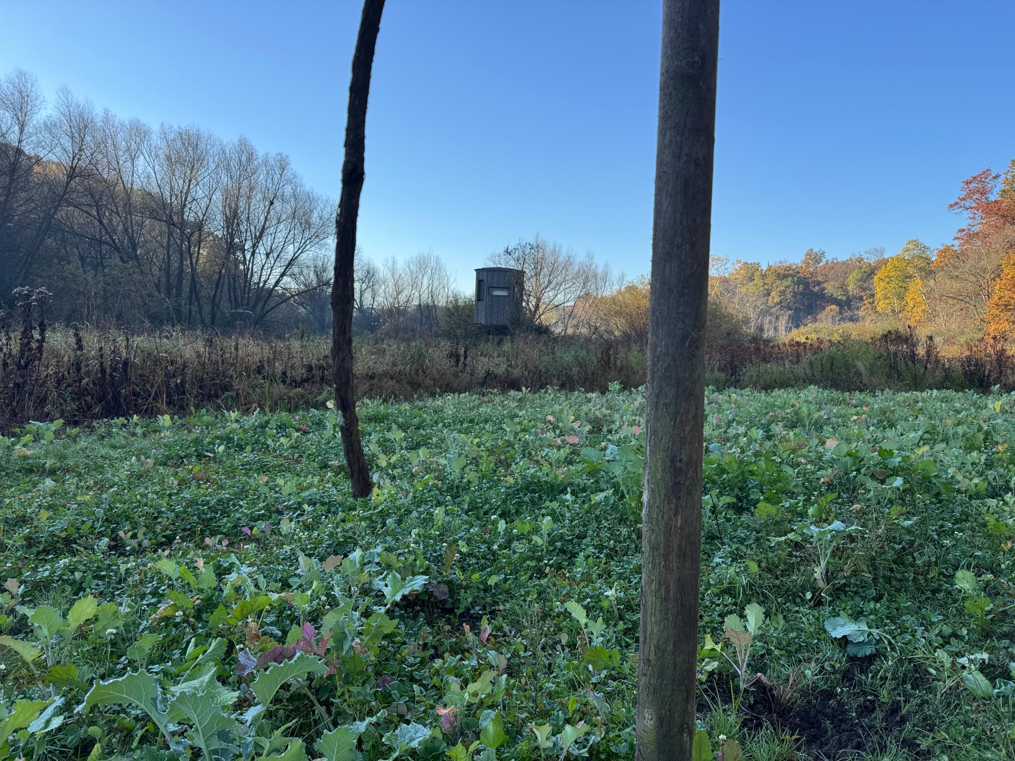 N35194 Przybilla Road Independence, WI 54747 - Photo 15 of 62