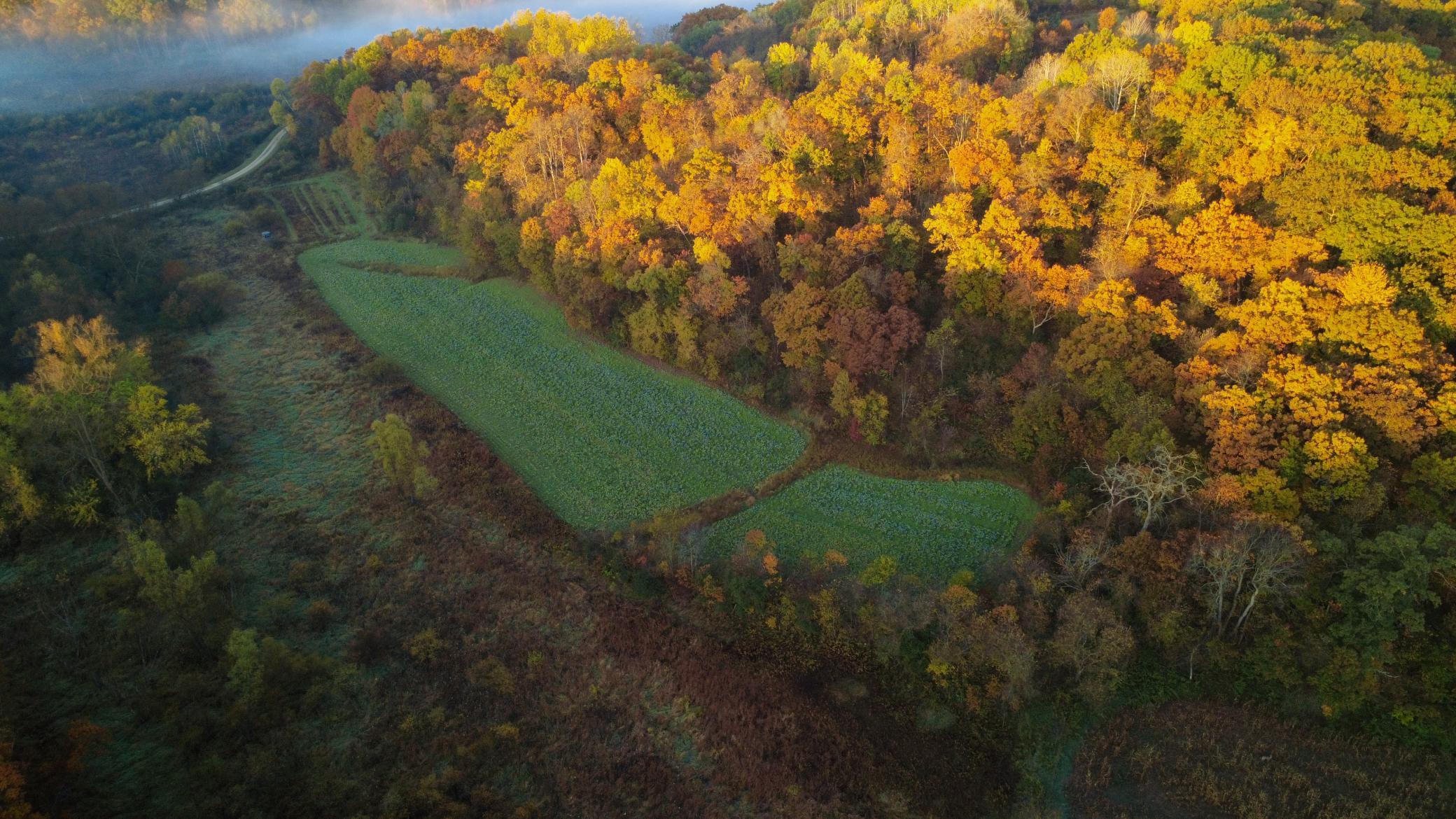 N35194 Przybilla Road Independence, WI 54747 - Photo 16 of 62