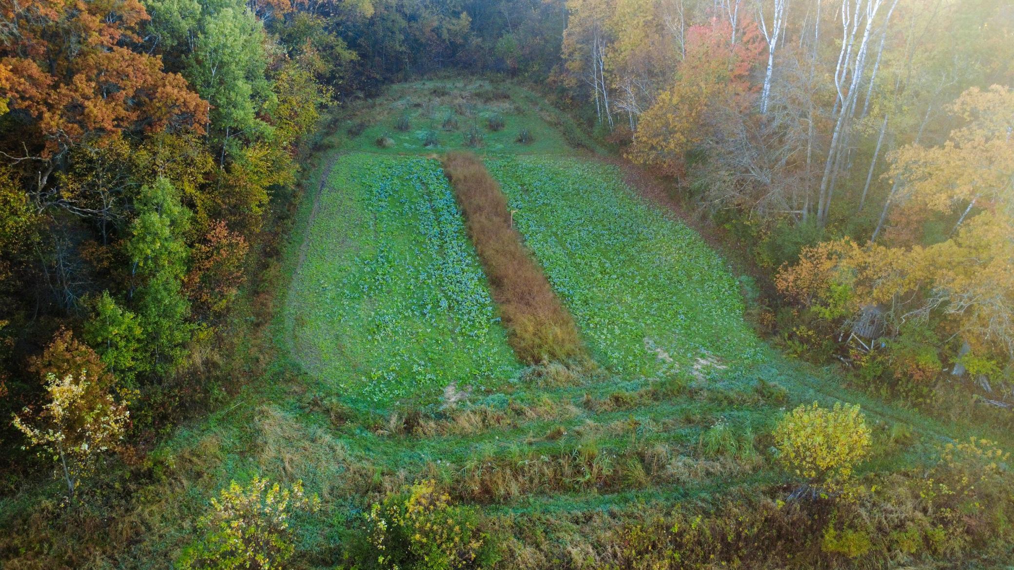 N35194 Przybilla Road Independence, WI 54747 - Photo 19 of 62