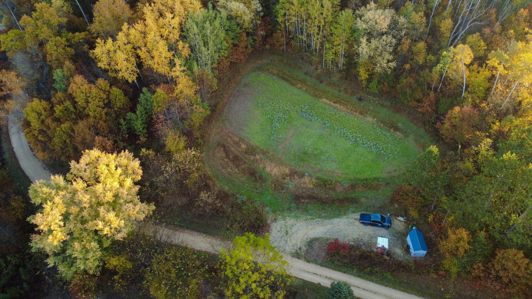 N35194 Przybilla Road Independence, WI 54747 - Photo 20 of 62