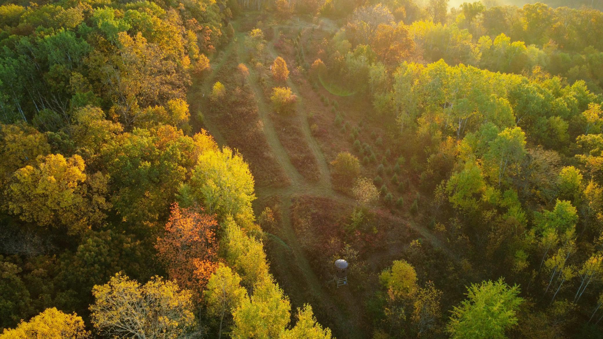 N35194 Przybilla Road Independence, WI 54747 - Photo 21 of 62