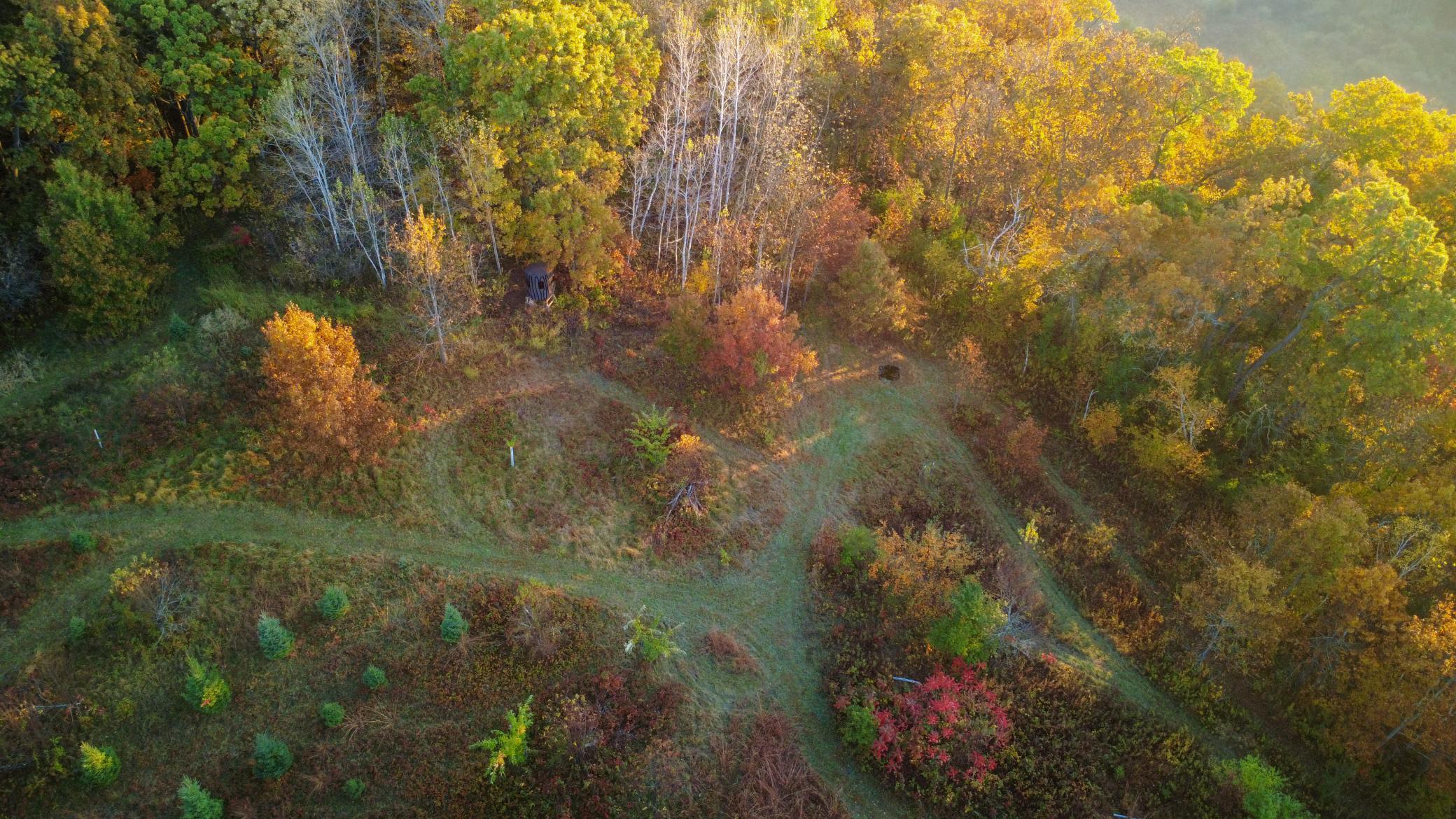N35194 Przybilla Road Independence, WI 54747 - Photo 22 of 62