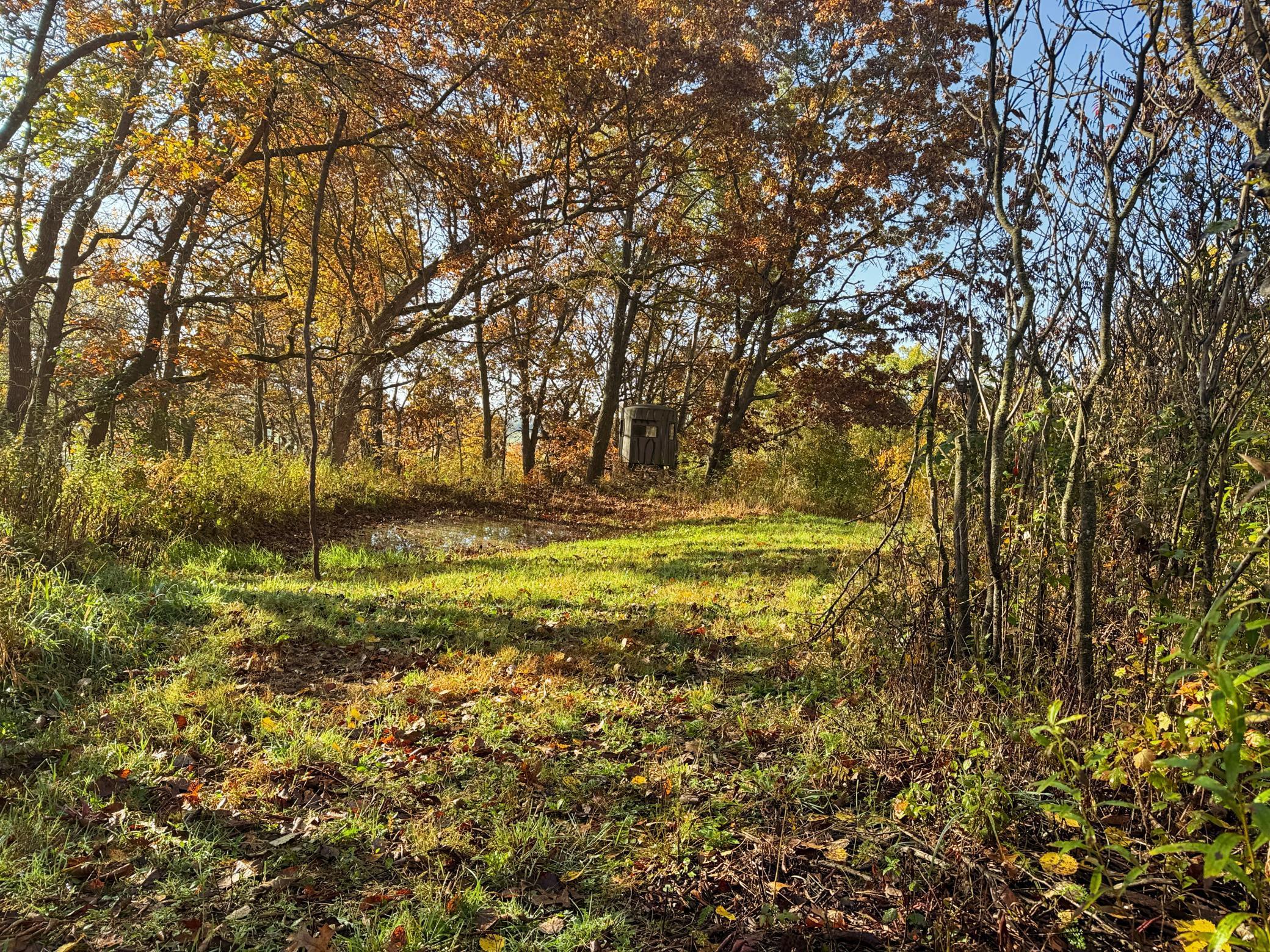 N35194 Przybilla Road Independence, WI 54747 - Photo 24 of 62