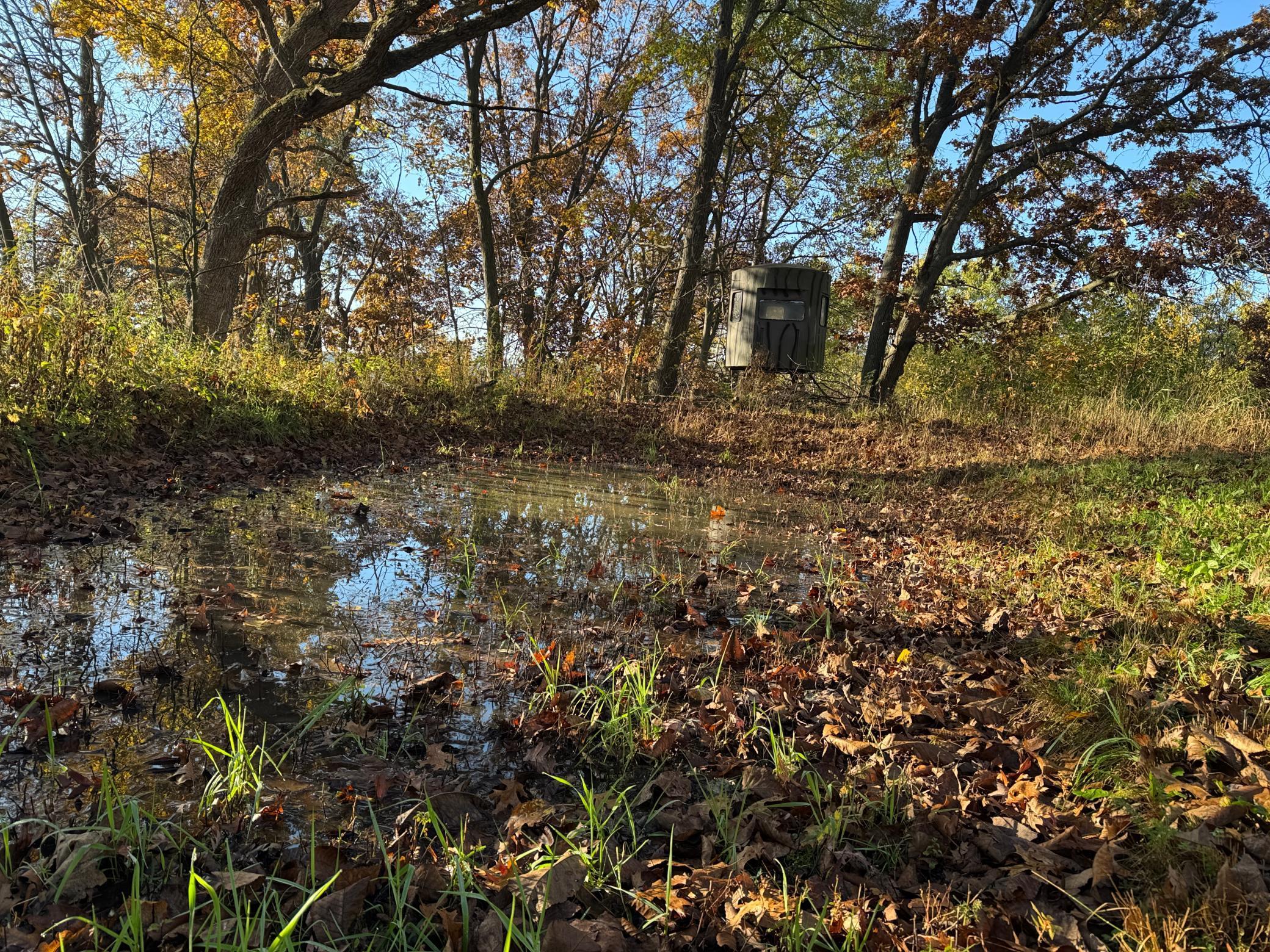N35194 Przybilla Road Independence, WI 54747 - Photo 25 of 62