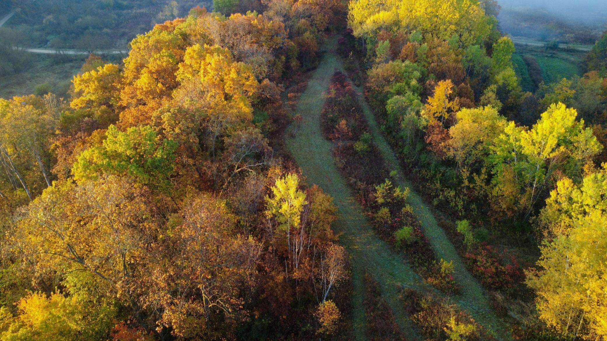 N35194 Przybilla Road Independence, WI 54747 - Photo 26 of 62