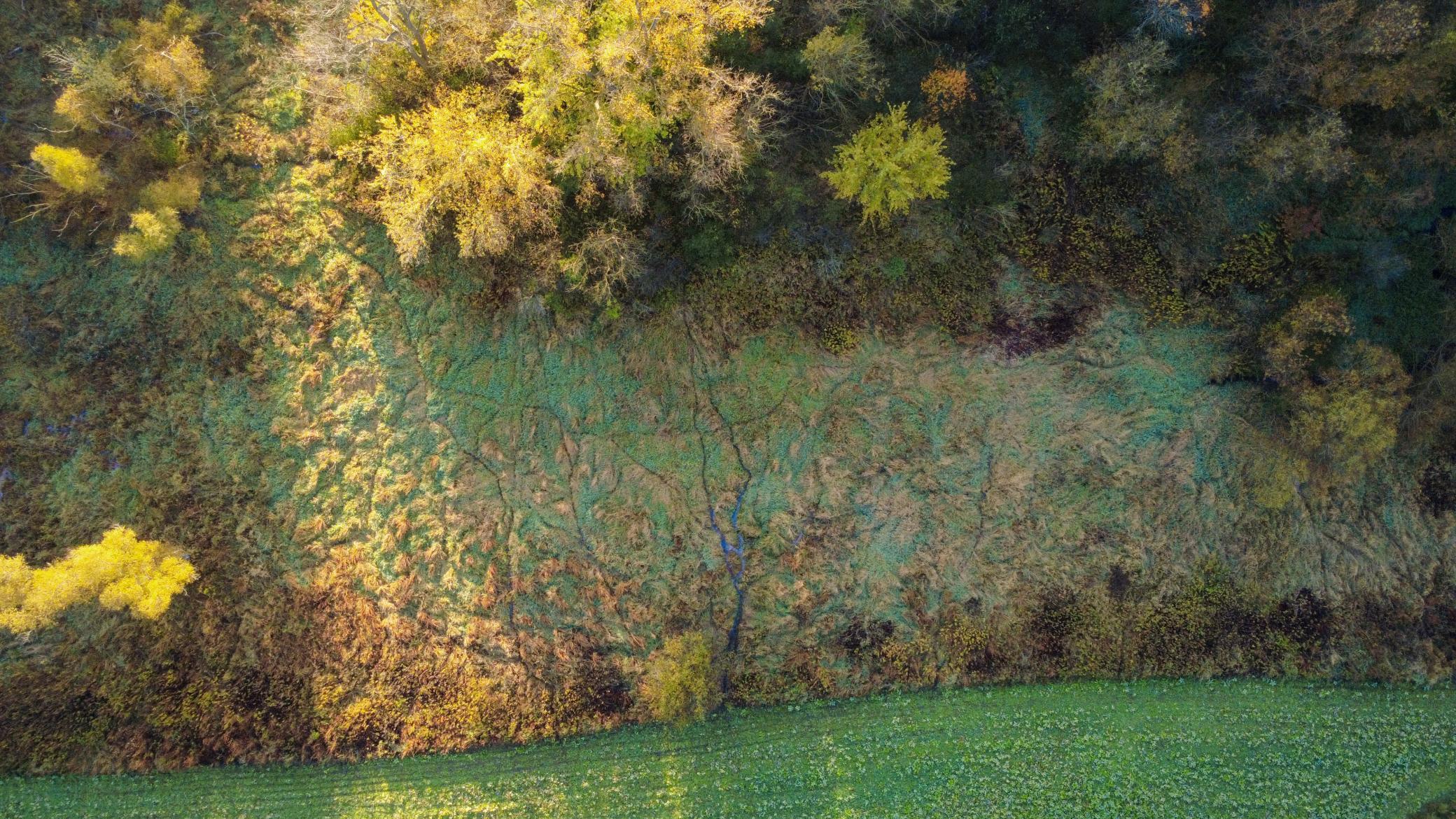 N35194 Przybilla Road Independence, WI 54747 - Photo 28 of 62