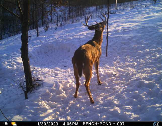 N35194 Przybilla Road Independence, WI 54747 - Photo 29 of 62