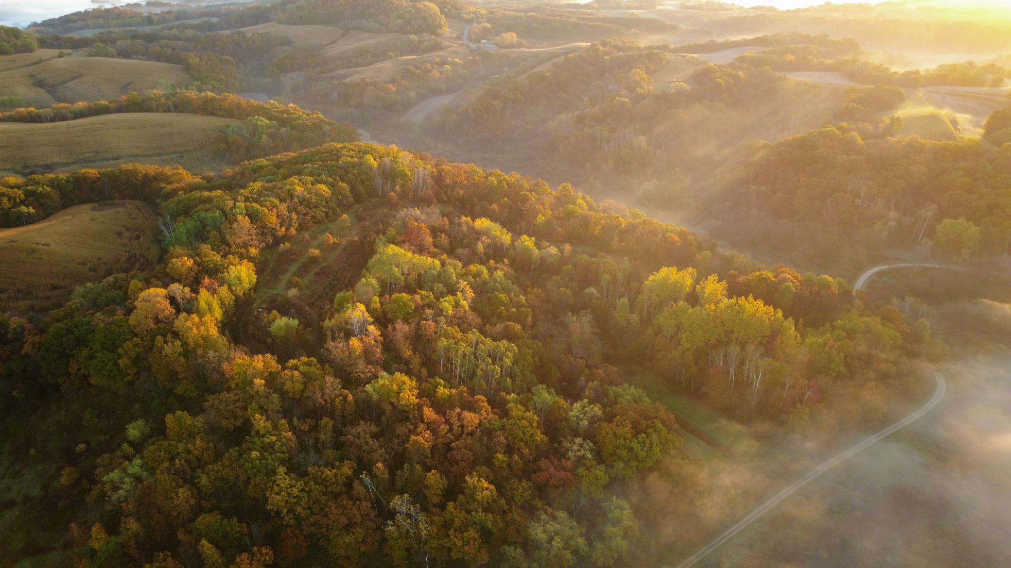 N35194 Przybilla Road Independence, WI 54747 - Photo 3 of 62